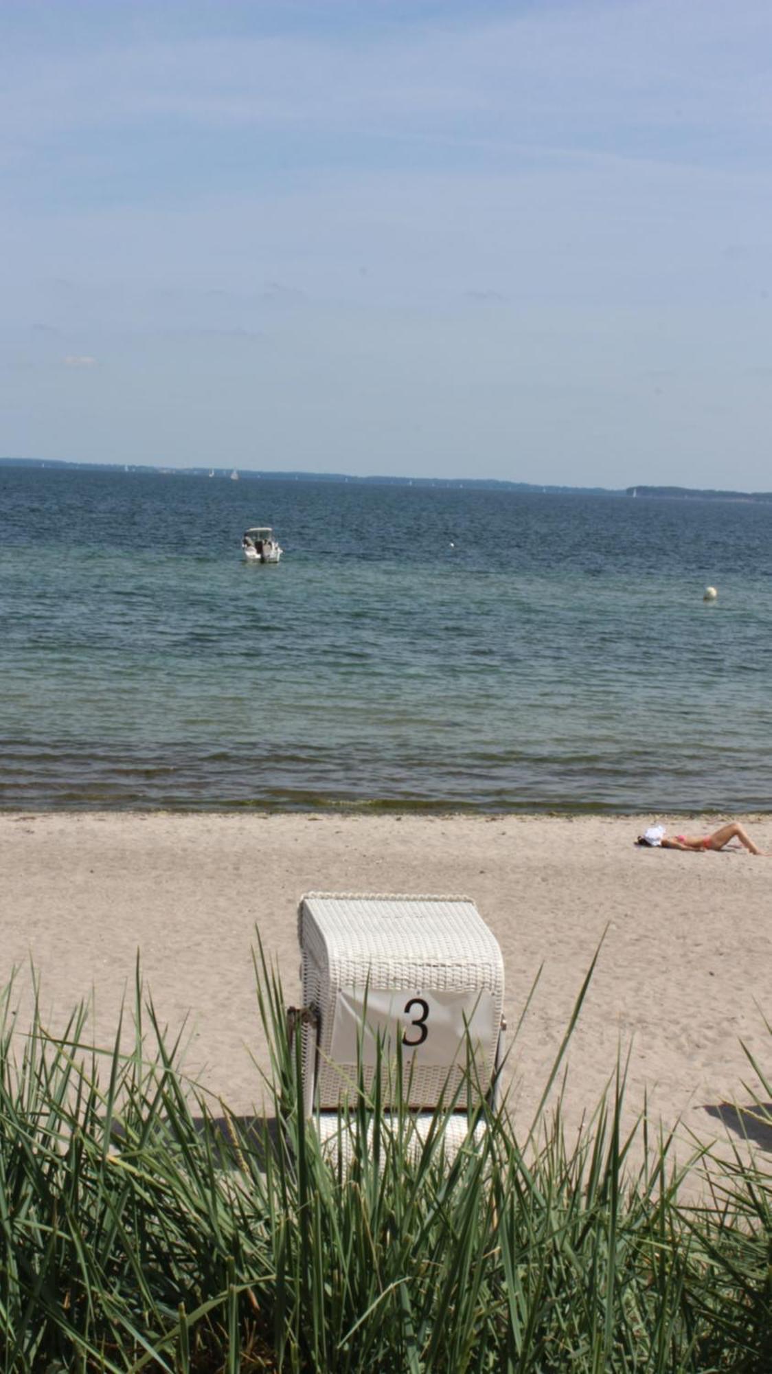 Zum Wohlfuehlen Ferienwohnung Fuer Max 5 Erwachsene Und 1 Kind, Schwimmbad Vor Der Tuer, Tiere Erlaubt 希尔克道夫 外观 照片