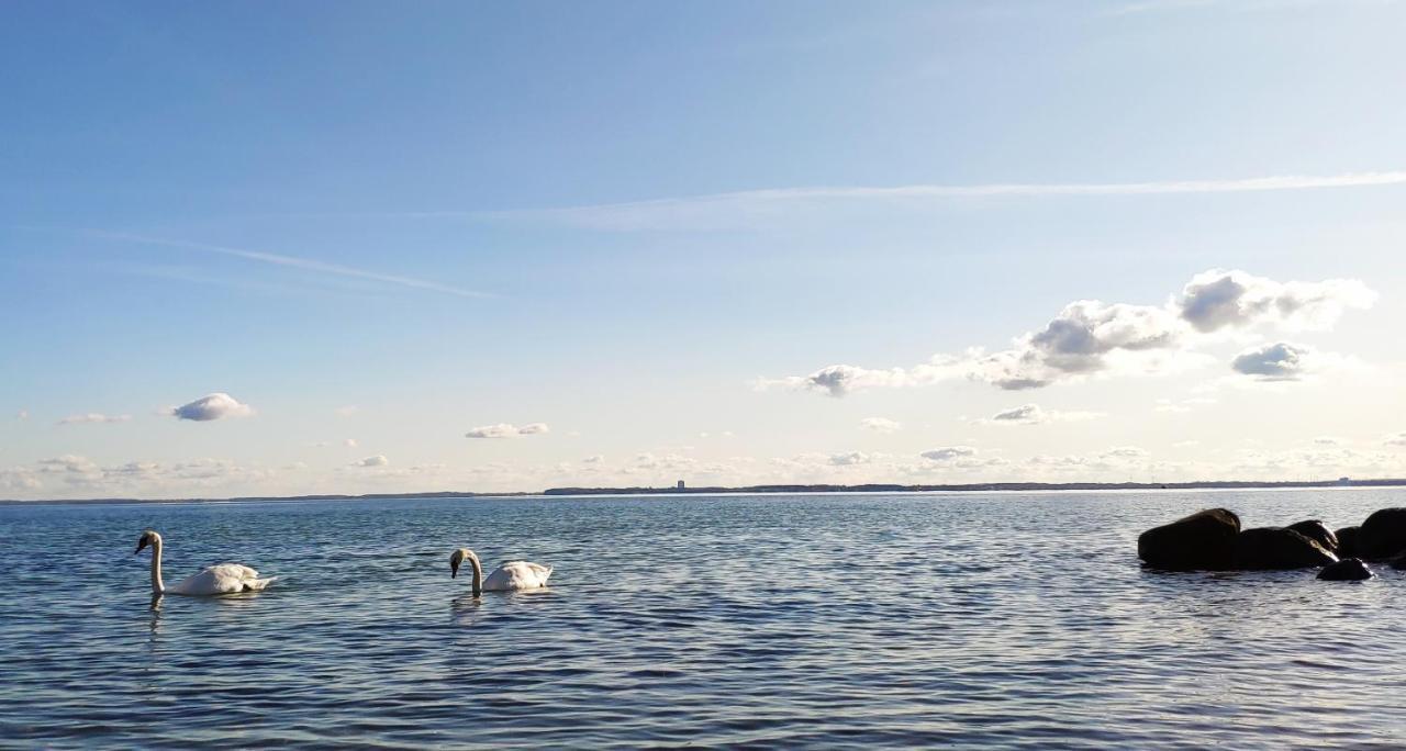 Zum Wohlfuehlen Ferienwohnung Fuer Max 5 Erwachsene Und 1 Kind, Schwimmbad Vor Der Tuer, Tiere Erlaubt 希尔克道夫 外观 照片